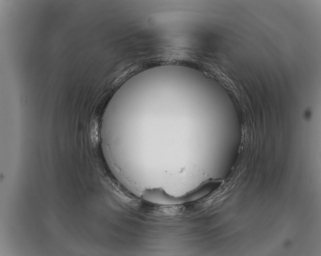 X0000095930479200801110923