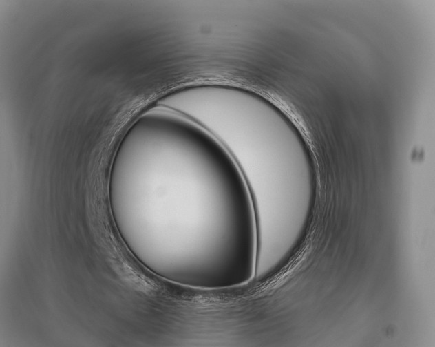 X0000095930481200801110922