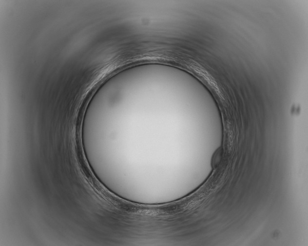 X0000095930482200801110922