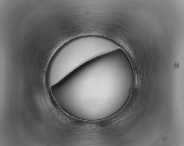 X0000095930483200801110922
