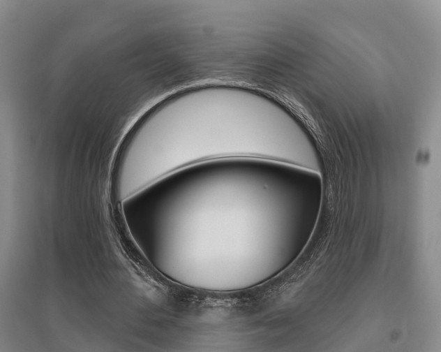 X0000095930484200801110922