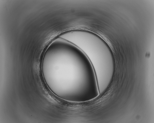 X0000095930485200801110922