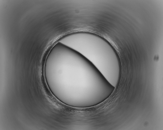 X0000095930486200801110922