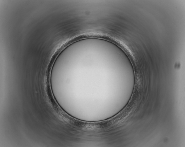 X0000095930487200801110922