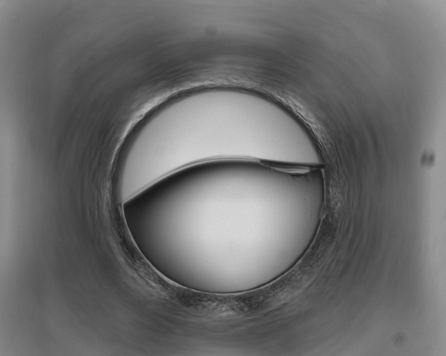 X0000095930488200801110922