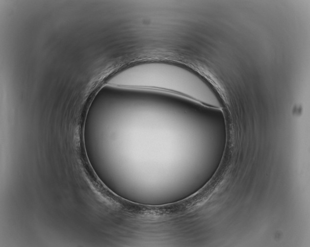 X0000095930489200801110922