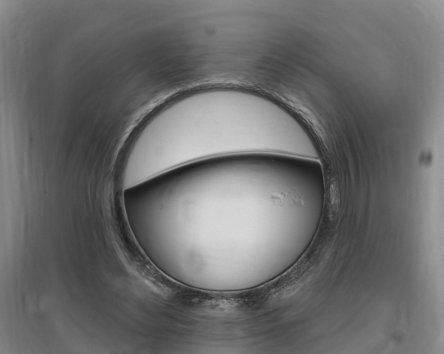 X0000095930492200801110922