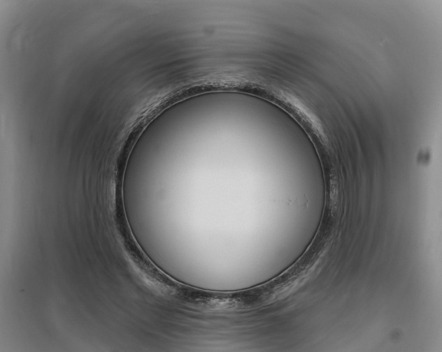 X0000095930493200801110922