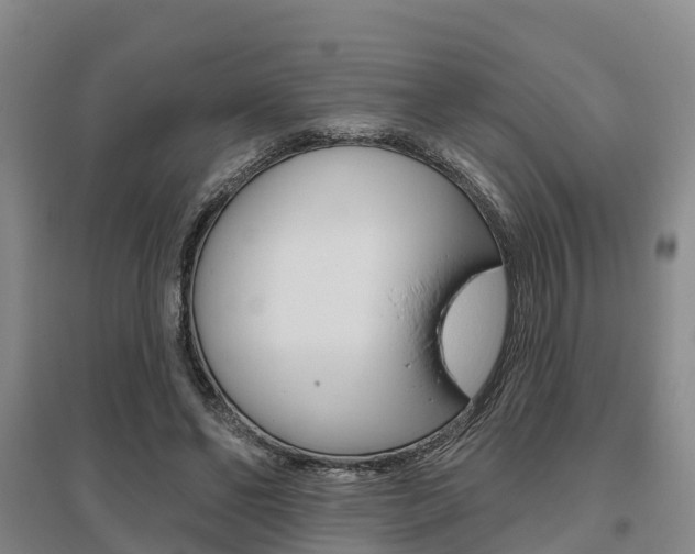 X0000095930494200801110922