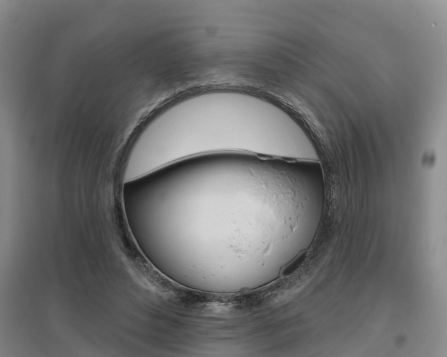 X0000095930496200801110922
