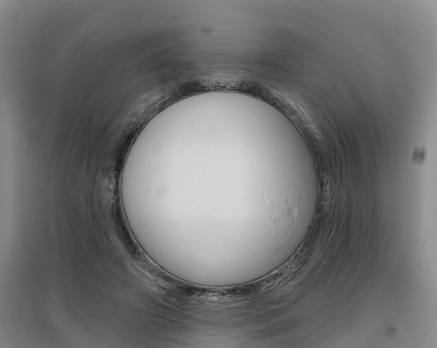 X0000095930498200801110922