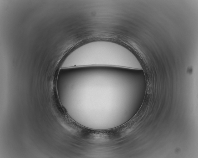 X0000095930500200801110922