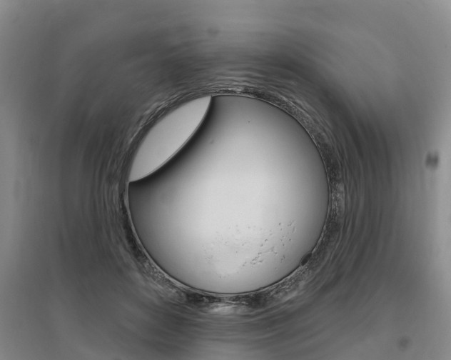 X0000095930504200801110922