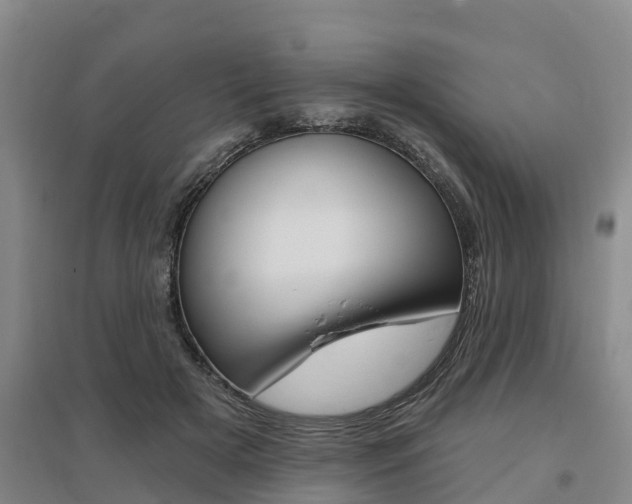 X0000095930505200801110922