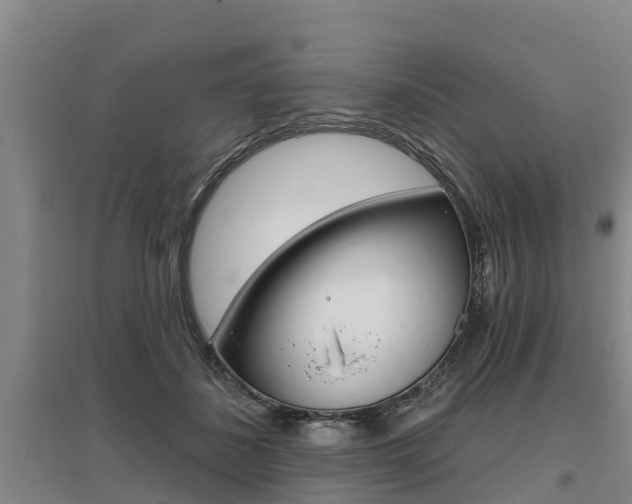 X0000095930508200801110922