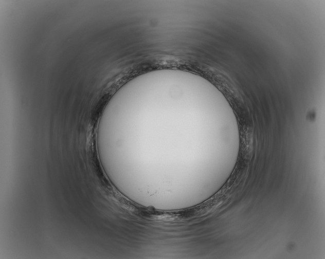 X0000095930511200801110922