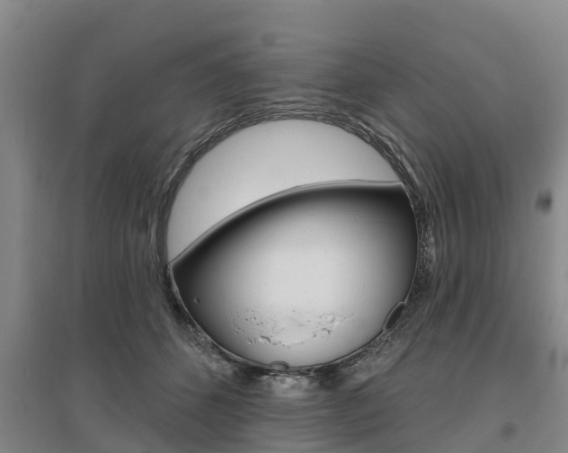 X0000095930512200801110922