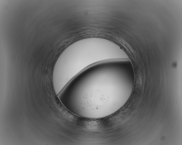 X0000095930513200801110922