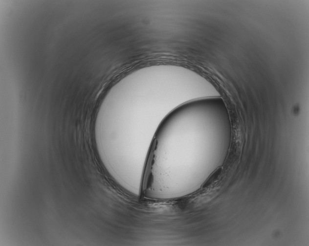 X0000095930516200801110922