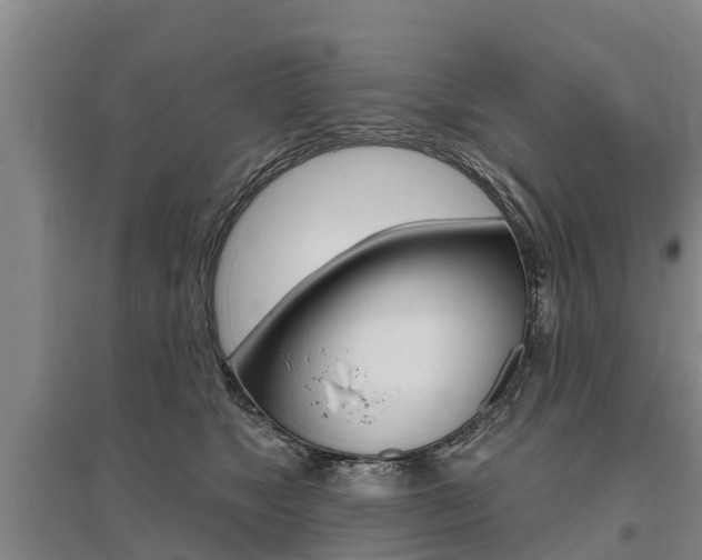 X0000095930517200801110922