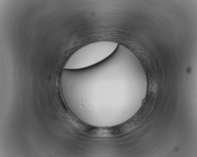 X0000095930518200801110922