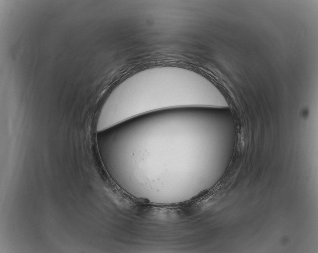 X0000095930520200801110921