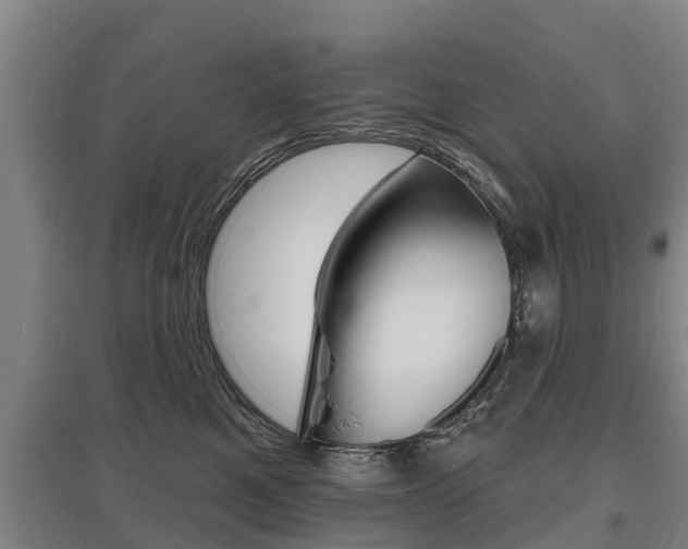 X0000095930521200801110921
