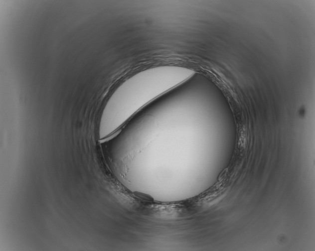 X0000095930524200801110921