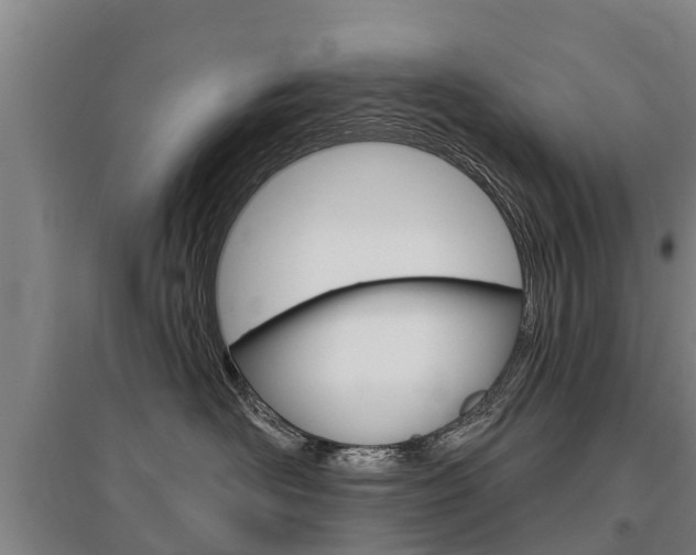 X0000095930526200801110921