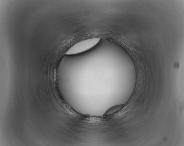 X0000095930528200801110921