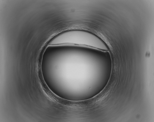 X0000095930530200801110921