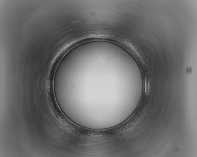 X0000095930531200801110921
