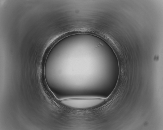 X0000095930532200801110921