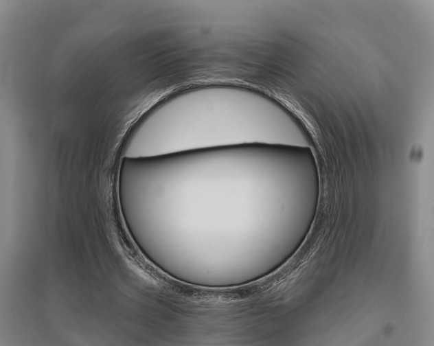 X0000095930533200801110921