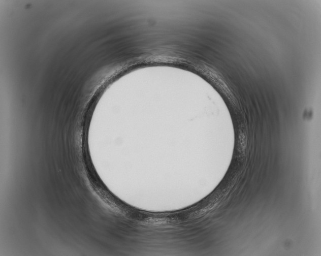 X0000095930534200801110921