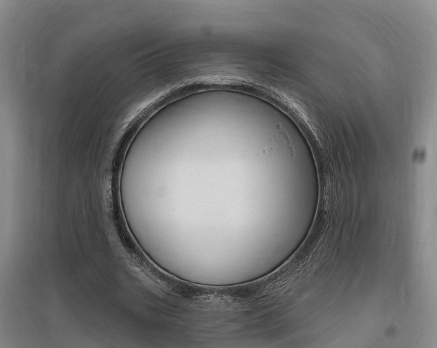 X0000095930535200801110921