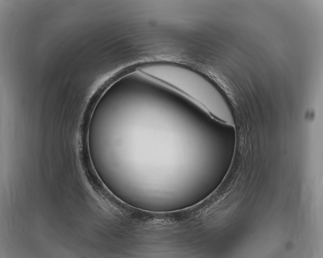 X0000095930536200801110921