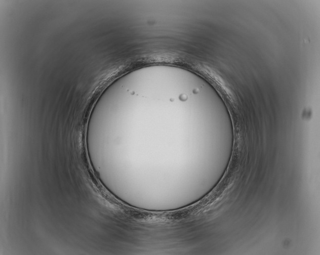 X0000095930537200801110921