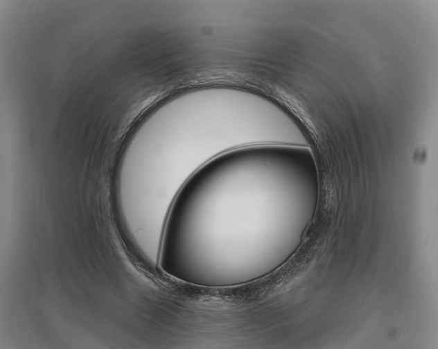X0000095930538200801110921