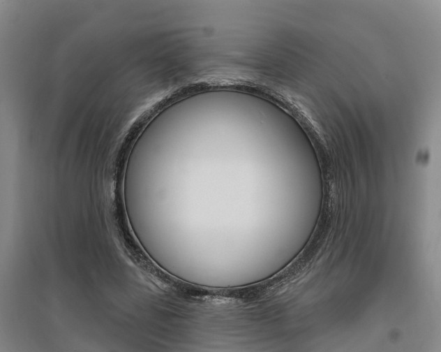 X0000095930539200801110921