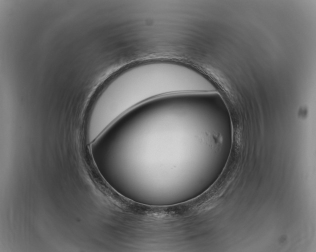 X0000095930540200801110921