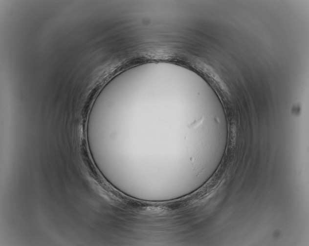 X0000095930541200801110921