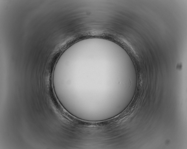 X0000095930542200801110921
