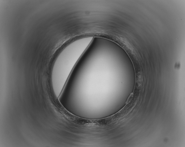 X0000095930544200801110921