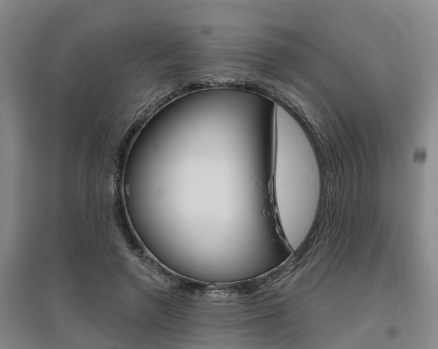 X0000095930546200801110921
