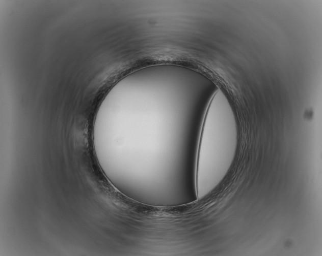 X0000095930547200801110921