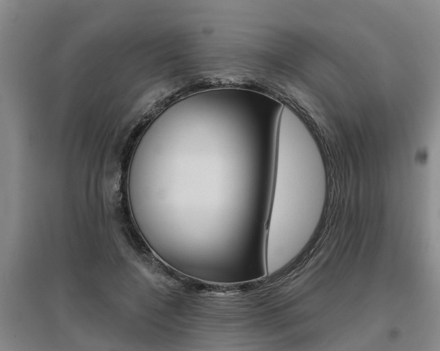 X0000095930548200801110921