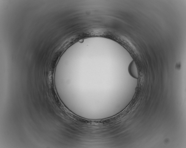 X0000095930549200801110921