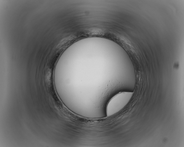 X0000095930550200801110921