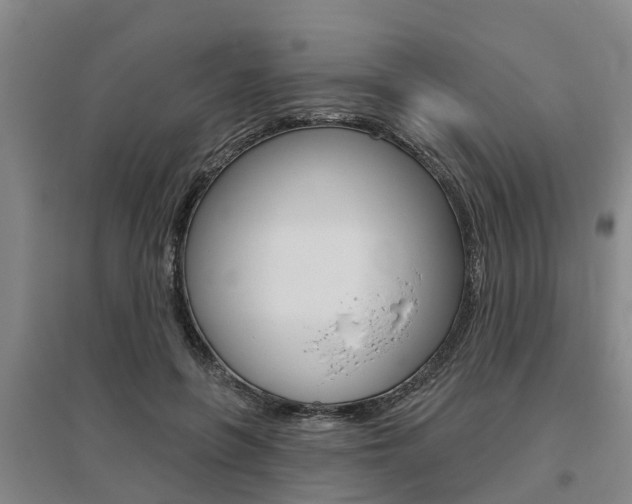 X0000095930551200801110921